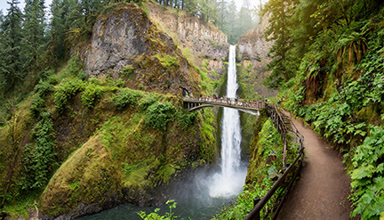 Multnomah Falls Trail